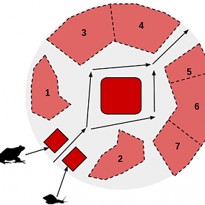 ZooSC at Myrtle Beach -> Extinction Module