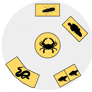 ZooSC at Myrtle Beach -> Invasion Module