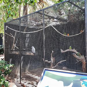 Cage for abandoned birds