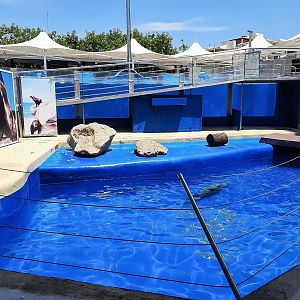 Second California sea lion enclosure