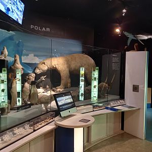 New Walk Museum and Art Gallery, Leicester