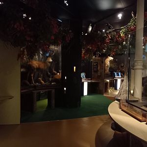 New Walk Museum and Art Gallery,  Leicester