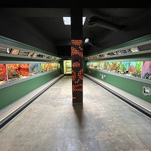 Reptile House - 1st Hallway