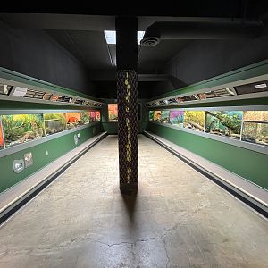 Reptile House - 2nd Hallway