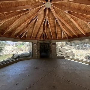 Bobcat + Cougar Exhibits