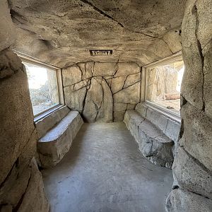 Bobcat + Cougar Exhibits