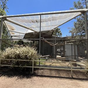 California Condor Aviary