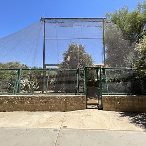 Desert Tortoise Exhibit