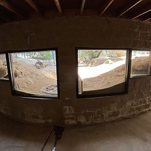 Desert Tortoise Exhibit