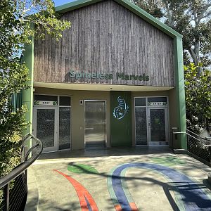 Spiny Marvels Building