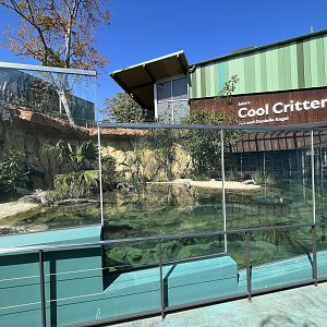 African Dwarf Crocodile Exhibit