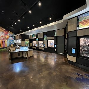 Cool Critters Building