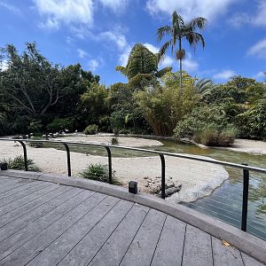 Greater Flamingo Exhibit