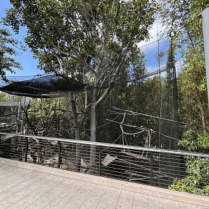 Angolan Colobus Exhibit