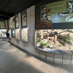 Herp Exhibits - near hippos/crocs