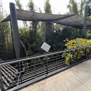 Crowned Eagle Aviary