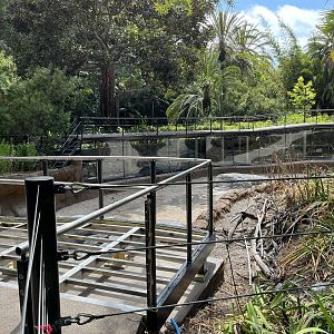 Common Hippo Exhibit - temporarily closed