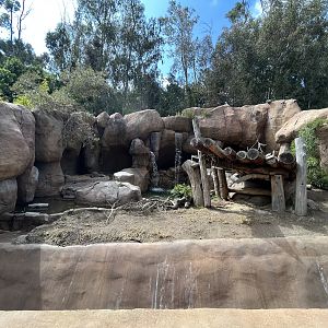 Grizzly Bear Exhibit (1 of 2 grottoes)