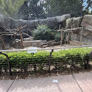 Sloth Bear Exhibit (1 of 2 grottoes)
