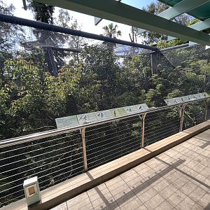 Aviary (next to bus tour station)