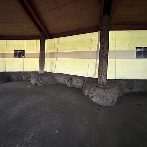 Silver Leaf Langur Exhibit - temporarily closed