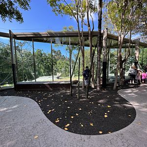 Orangutan/Siamang Exhibit