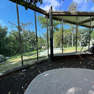 Orangutan/Siamang Exhibit