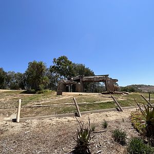 African Elephant Exhibit