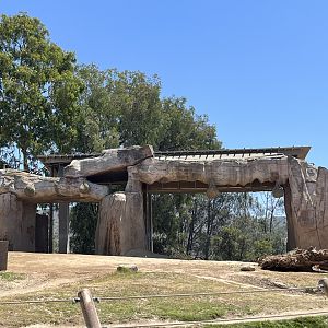 African Elephant Shade Structure