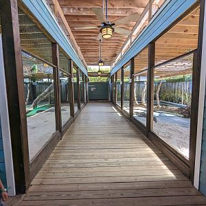 Swamp of the White Gator - hall