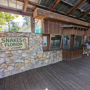 Snakes of Florida  - entrance area
