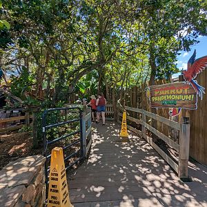 Parrot Pandemonium - walkway area