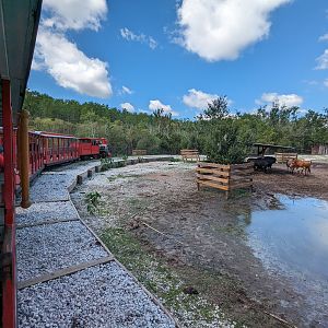 Train through "large mammal paddock"