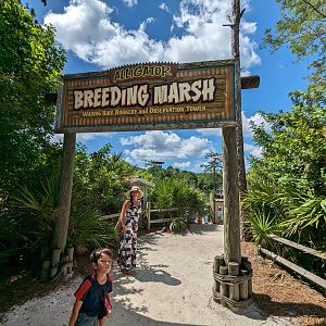 Breeding Marsh Entrance