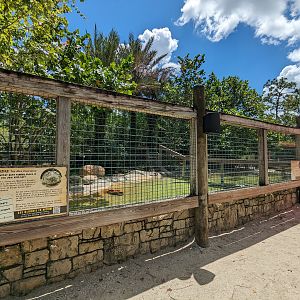 Jungle Crocs of the World  - Nile crocodiles
