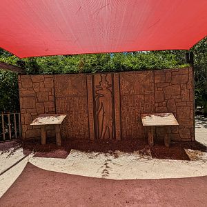 Jungle Crocs of the World  - Nile crocodile decoration and signs