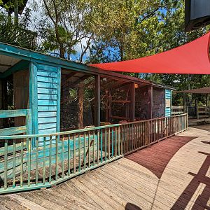 Jungle Crocs of the World -Kookaburra aviary