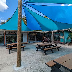 Panther Springs - reptiles