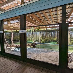 Swamp of the White Gators