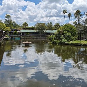 Main pond looking towards Swamp of the White Gators