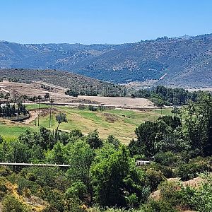 Asian/African Savannah