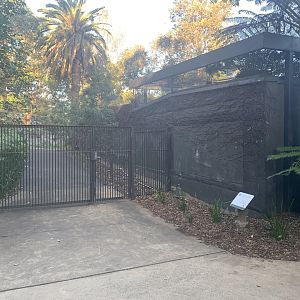 Tasmanian Devil complex