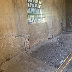 inside the old Elephant Temple