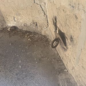 inside the old Elephant Temple