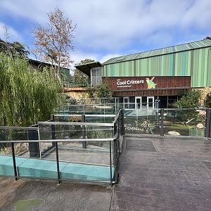 Cool Critters Building