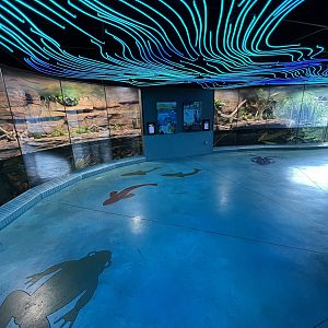 Cool Critters Building