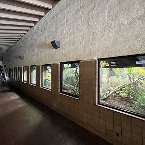Endless number of terrariums at this zoo