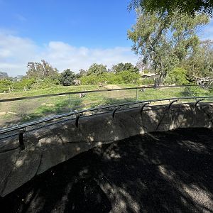 Hamadryas Baboon Exhibit