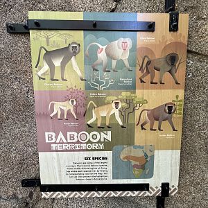 Baboon Sign