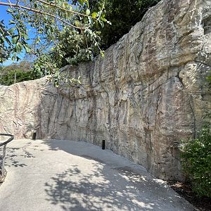 Visitor Pathway - Africa Rocks